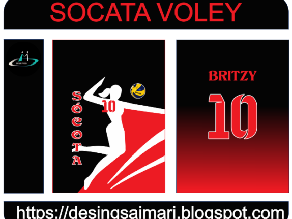 DESING VOLEY