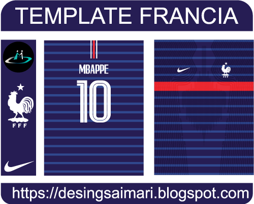 Vector Francia 2020/21 Nike