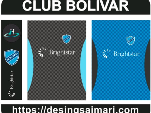 Club Bolivar Cuadros 2013