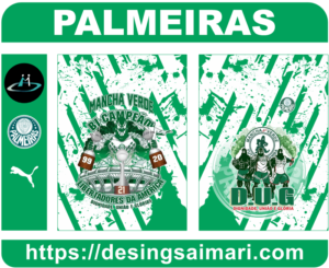 Palmeiras Libertadores de América