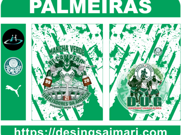 Palmeiras Libertadores de América
