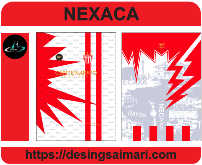 NEXACA CENTENARIO 1998-2023