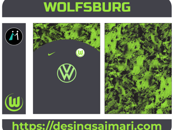 Wolfsburg 2023-24 Visita