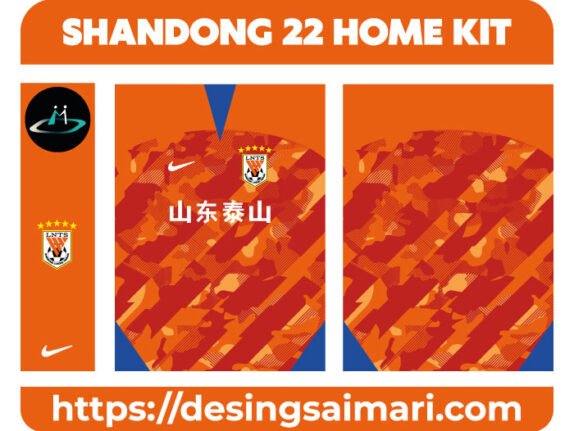 SHANDONG 22 HOME KIT