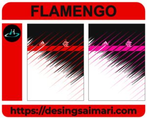 Flamengo Lineas Concept