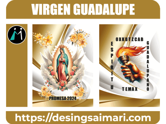 Virgen de Guadalupe 2024