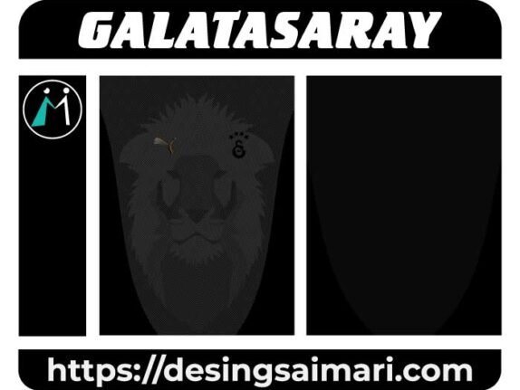 Galatasaray Puma Especial 2024-25